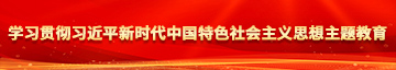 舔阴网址免费学习贯彻习近平新时代中国特色社会主义思想主题教育